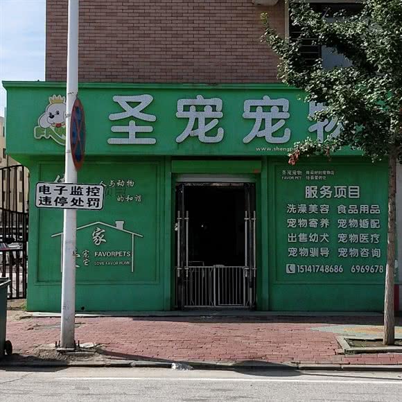 圣宠宠物大石桥店:营口市大石桥市