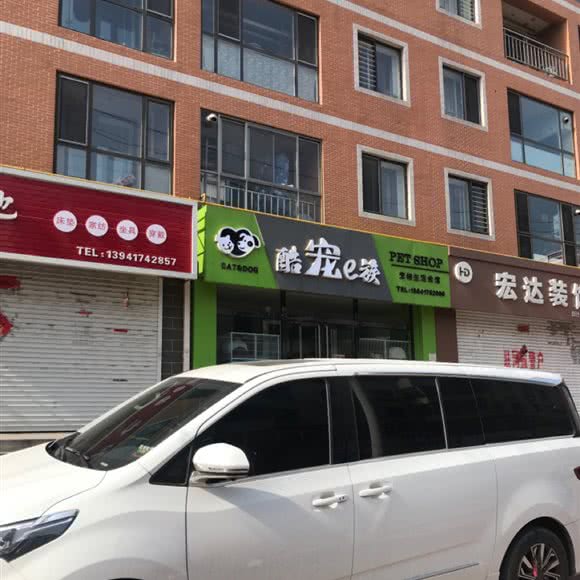 酷宠e族宠物生活会馆:营口市大石桥市
