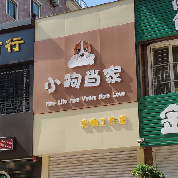 小狗当家宠物工作室:营口市大石桥市