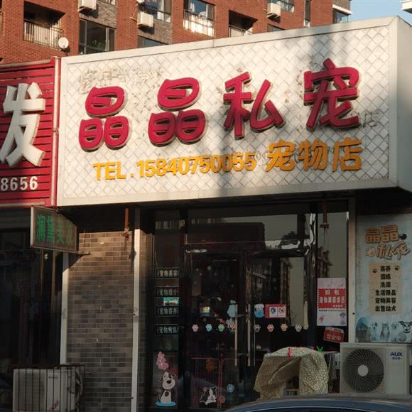 晶晶私宠宠物店:营口市大石桥市