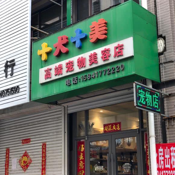 十犬十美高端宠物美容店:营口市大石桥市