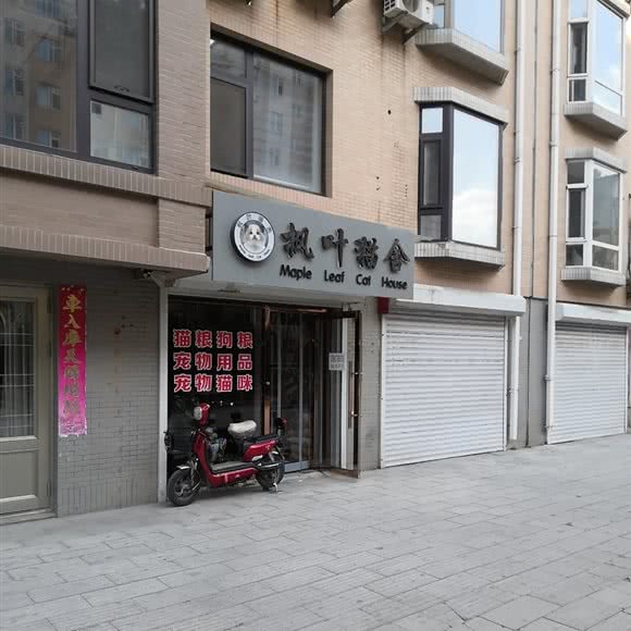 枫叶猫舍:营口市大石桥市