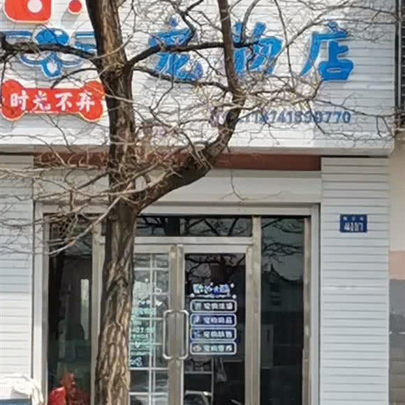 时光不弃宠物店:阜新市细河区