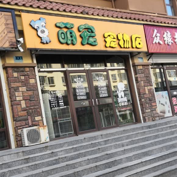 萌宠面包店:阜新市彰武县