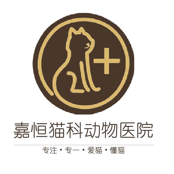 嘉恒猫科动物医院:太原市小店区坞城路附近