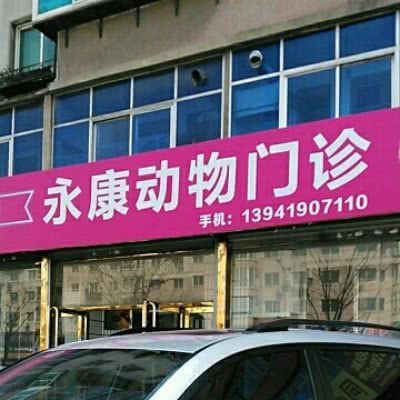 永康动物住院部:辽阳市白塔区