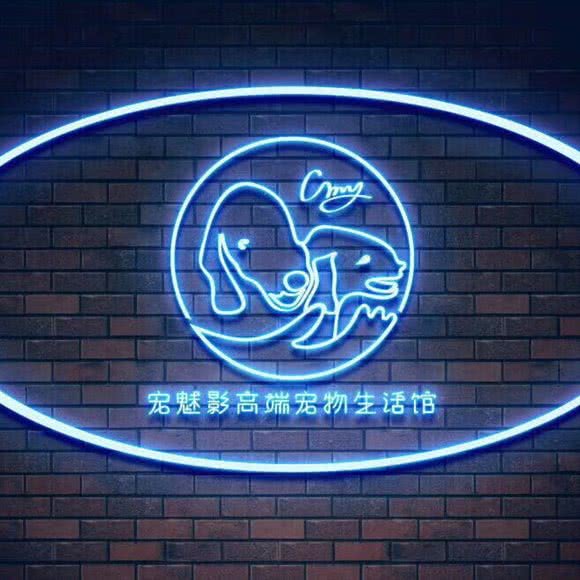 宠魅影高端宠物狗生活馆:太原市小店区康宁街附近
