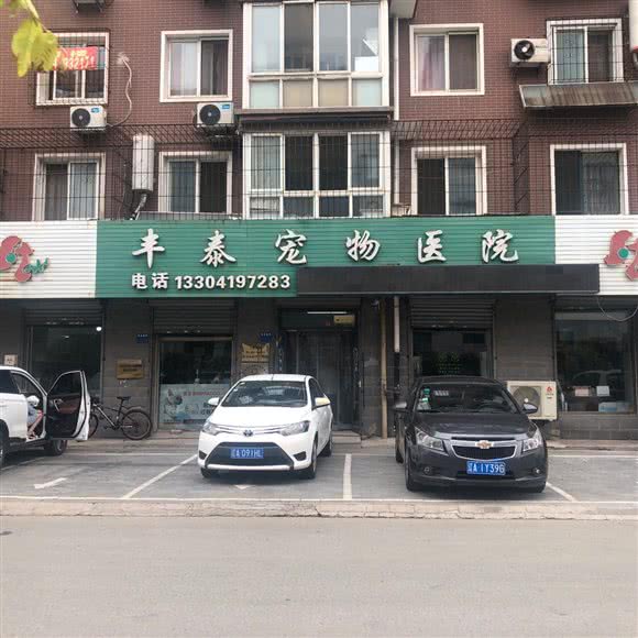 丰泰宠物医院:辽阳市白塔区