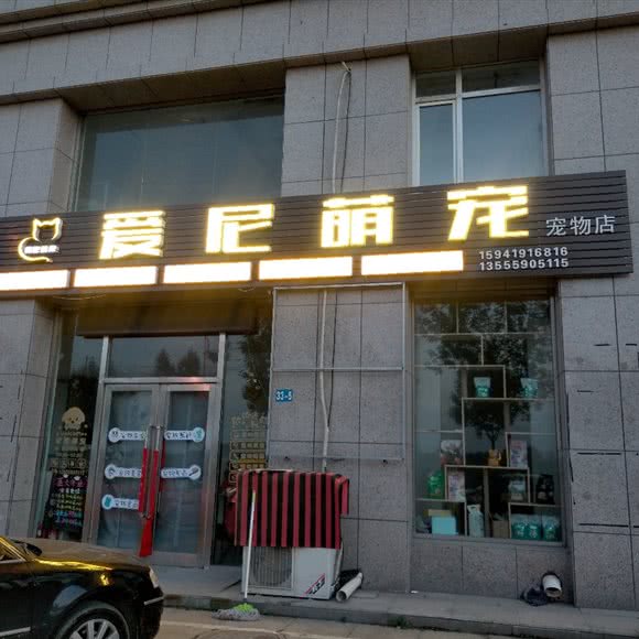 爱尼萌宠 宠物店:辽阳市宏伟区