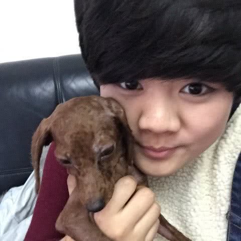 欣欣宠物乐园:辽阳市宏伟区