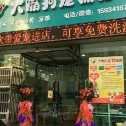 大嘴狗宠物:太原市小店区南中环街附近