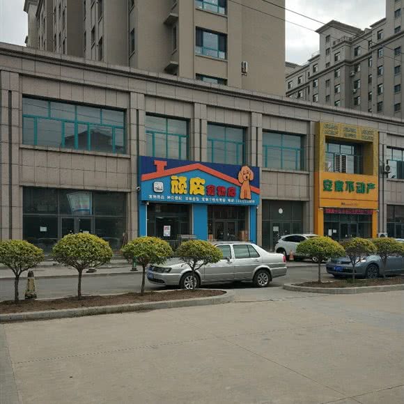 顽皮宠物店(首山路店):辽阳市辽阳县