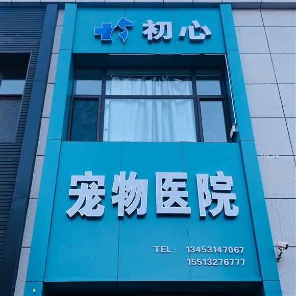 末心宠物医院:太原市小店区南中环街附近
