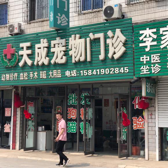 天成宠物门诊:辽阳市辽阳县