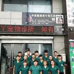 胖丫宠物医院:辽阳市辽阳县