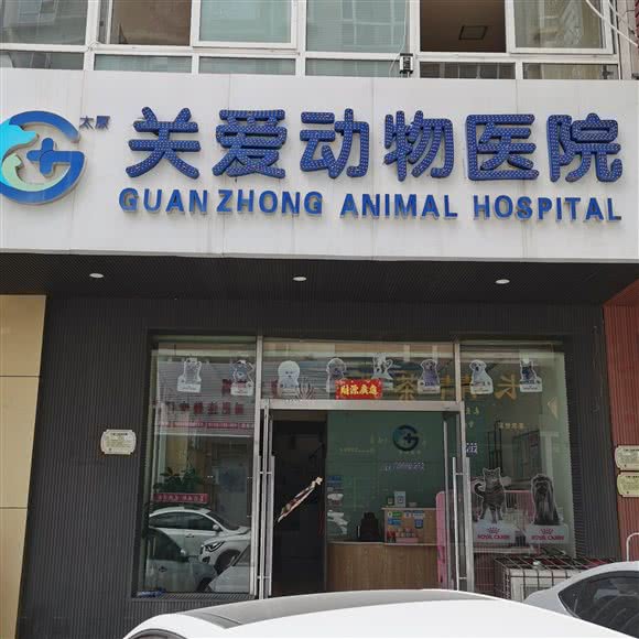 关爱动物医院:太原市小店区南中环街附近