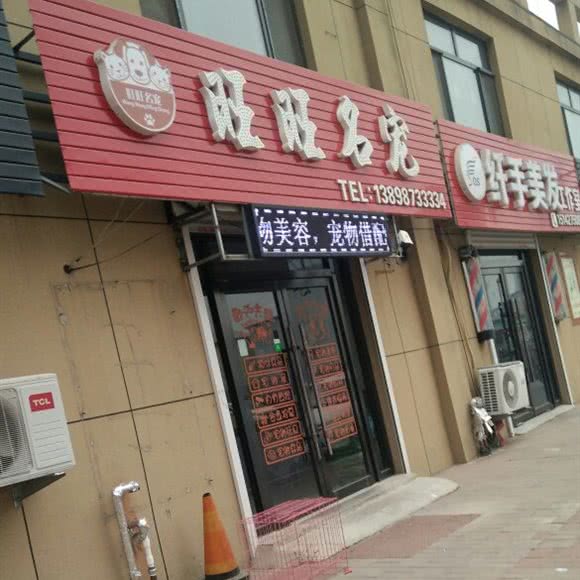 旺旺名宠:盘锦市双台子区