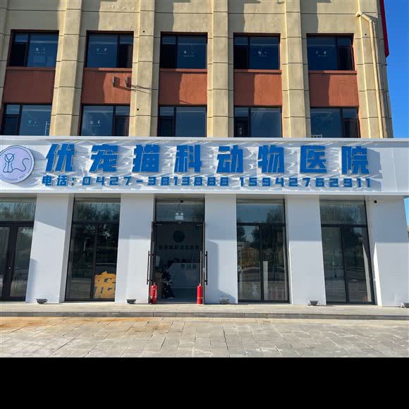 优宠猫科动物医院:盘锦市双台子区