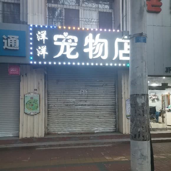 洋洋宠物店:盘锦市大洼区