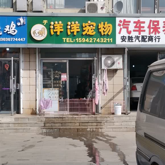 于洋洋宠物:盘锦市大洼区