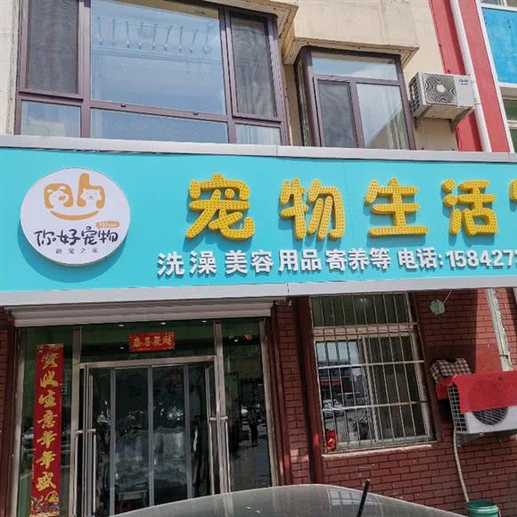 你好宠物店:盘锦市大洼区