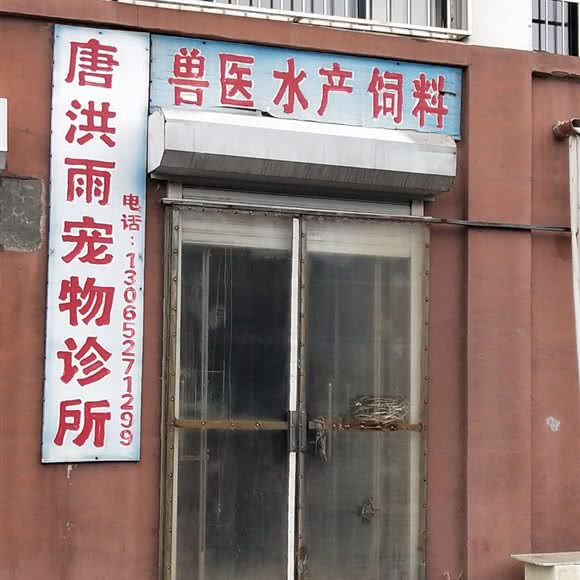 唐洪雨宠物诊所:盘锦市大洼区