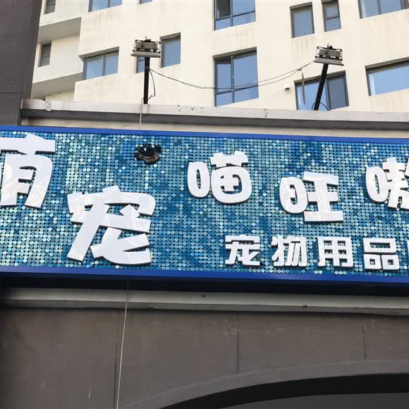 萌宠喵旺嗷:铁岭市铁岭县