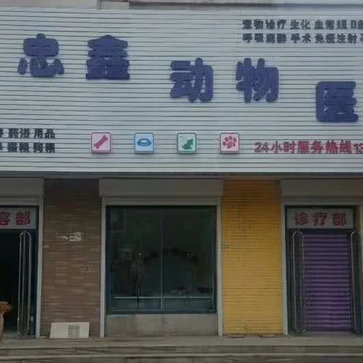 忠鑫动物医院:铁岭市铁岭县