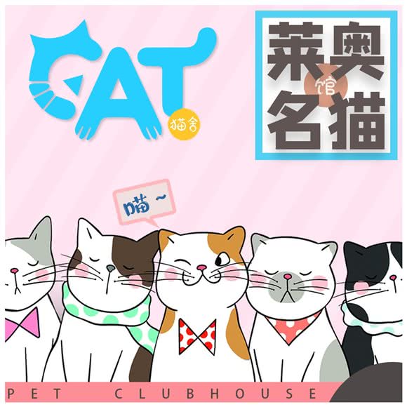 莱奥名猫馆(北苑家园店):北京城区朝阳区北苑家园附近