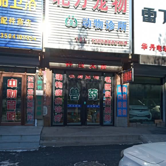 北之芳北方宠物:铁岭市昌图县