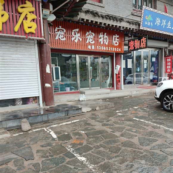 宠乐宠物店:铁岭市调兵山市