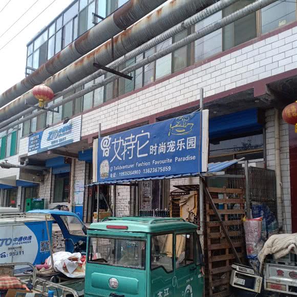 艾特它时尚宠乐园:太原市小店区太榆路/太原南站附近