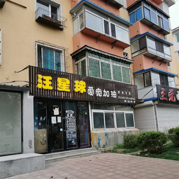 汪星球爱宠加油:铁岭市调兵山市