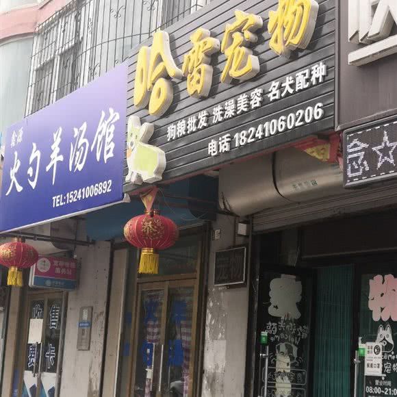 哈雷宠物:铁岭市开原市