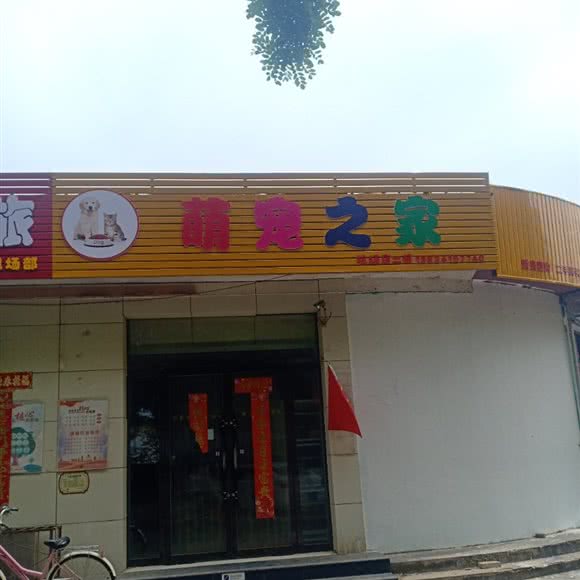 萌宠之家(机场店二部):太原市小店区太榆路/太原南站附近