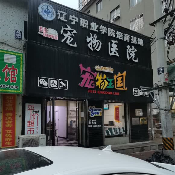 苏田宠物医院:铁岭市开原市