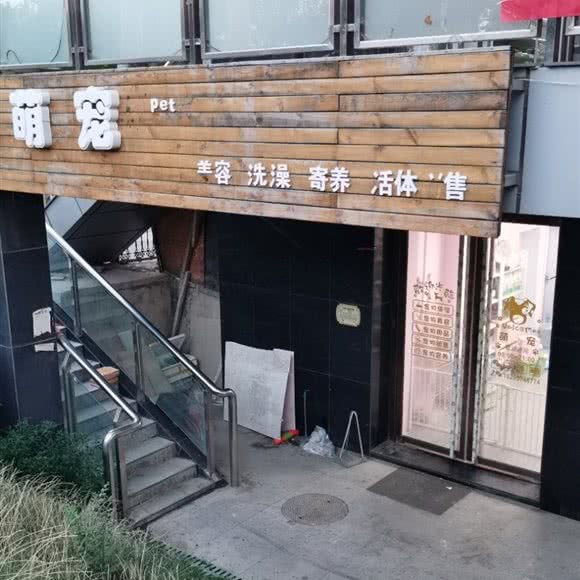 萌宠:太原市小店区太榆路/太原南站附近