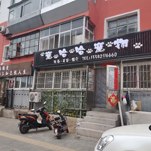 宠哈哈宠物:朝阳市双塔区