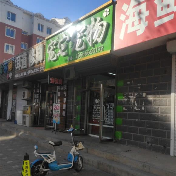 宠它宠物:朝阳市双塔区