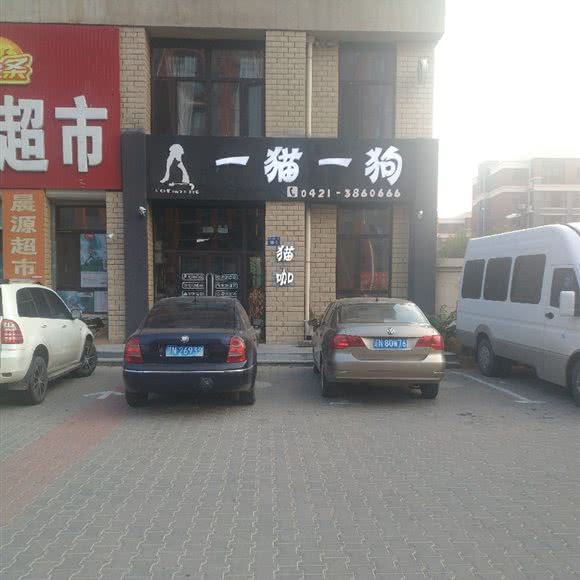 一兔一狗:朝阳市双塔区