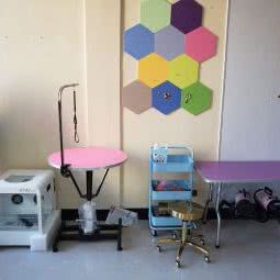 心宠宠物医院:朝阳市双塔区