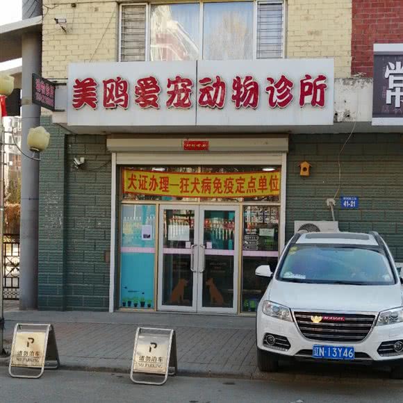 美鸥爱宠动物诊所:朝阳市双塔区