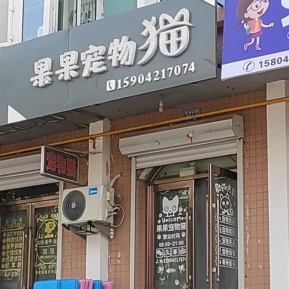 果果宠物猫:朝阳市北票市