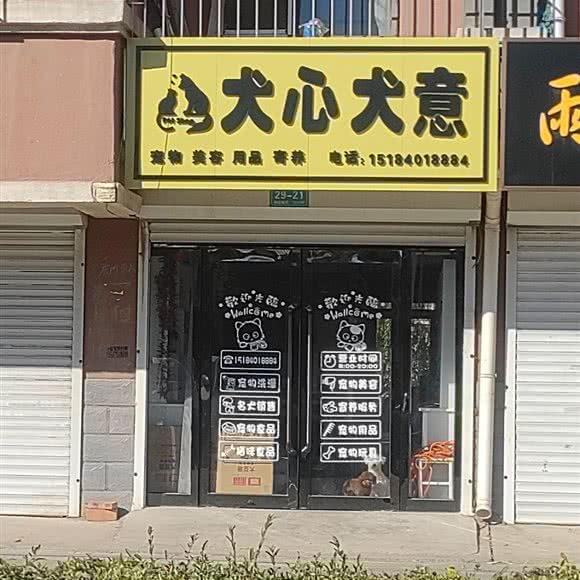 犬心犬意:朝阳市北票市