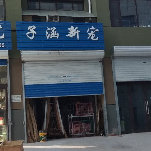 子涵新宠:葫芦岛市连山区