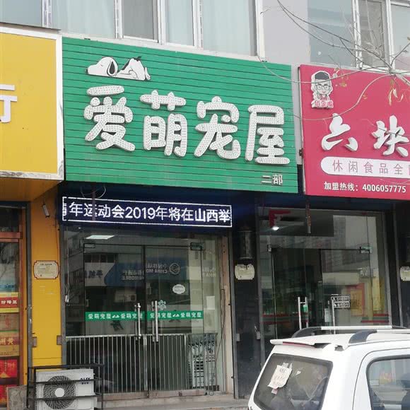 爱萌宠屋:太原市小店区通达街附近