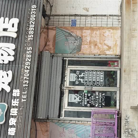萌宠俱乐部:葫芦岛市龙港区