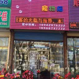 宠物情缘宠物店:葫芦岛市龙港区