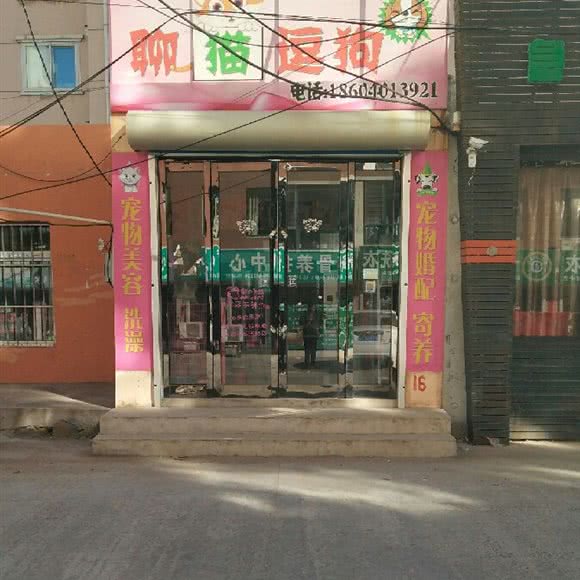 聊猫逗狗:葫芦岛市绥中县