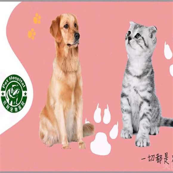 瑞派旺财宠物医院(兴城店):葫芦岛市兴城市